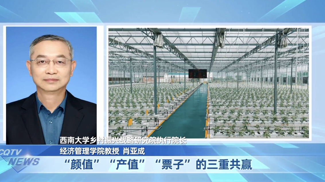 文件名称:图片2.png原图大小:0.86MB